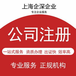 青浦區(qū)代理記賬服務(wù) 選擇專業(yè)財(cái)務(wù)公司助您高效經(jīng)營(yíng)
